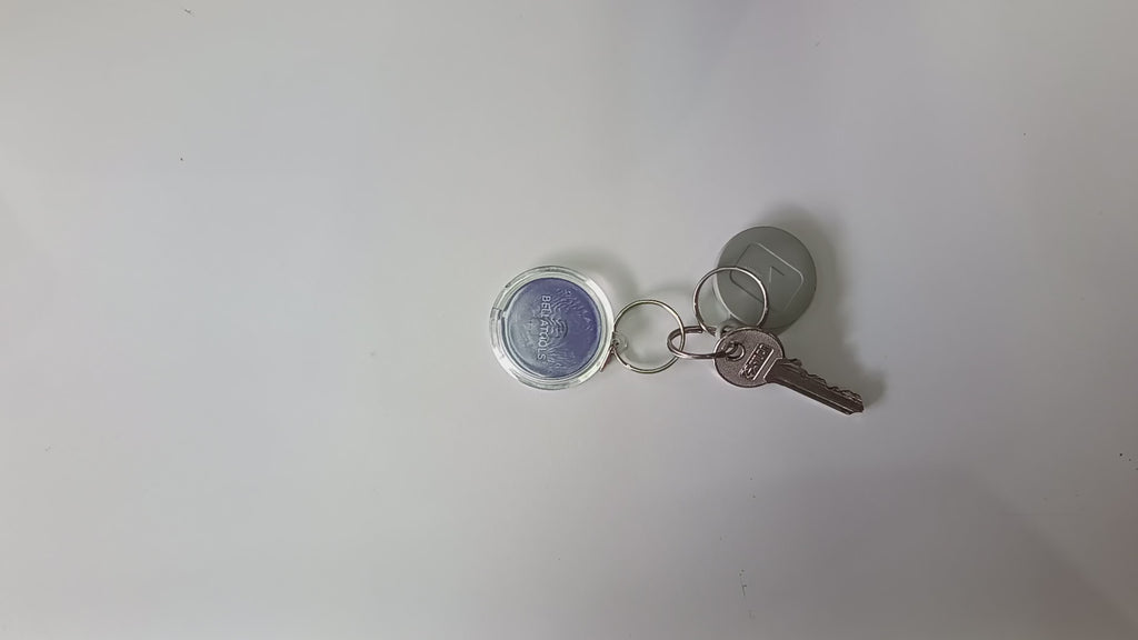 Smart NFC Contact Keyholders-Branded NFC Keyholder (Pre-Programmed)